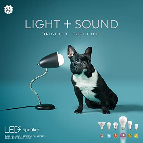 GE Recessed light  + Speaker 6-Inches