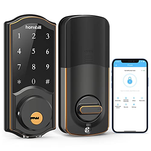 Smart Entry Door Lock with Keypad and APP control
